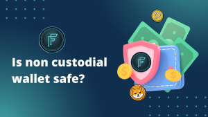 Read more about the article Is a non-custodial wallet safe?