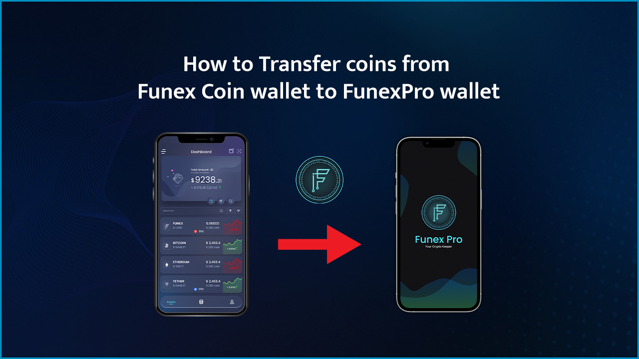 Read more about the article How to Transfer Crypto Coins from Funex wallet to Funex Pro wallet