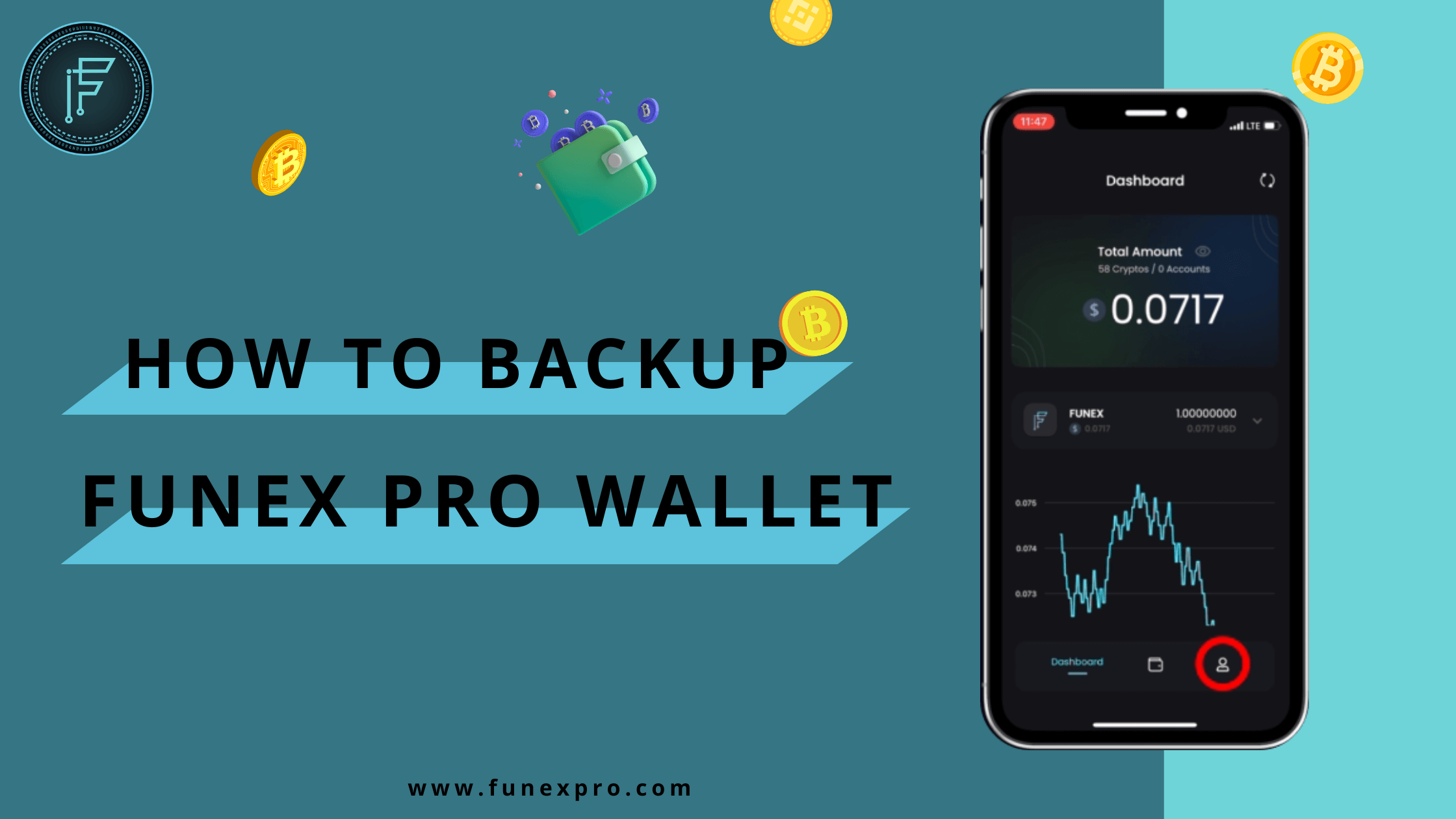 Read more about the article How to backup Funex Pro wallet